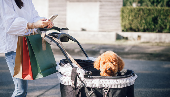 Young asian woman using mobile phone with shopping bag after shopping in her holiday with dog in cart