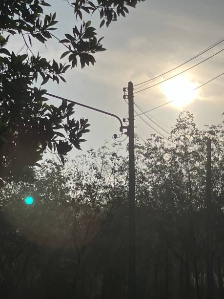 istock Sunshine Day morning 1978839048