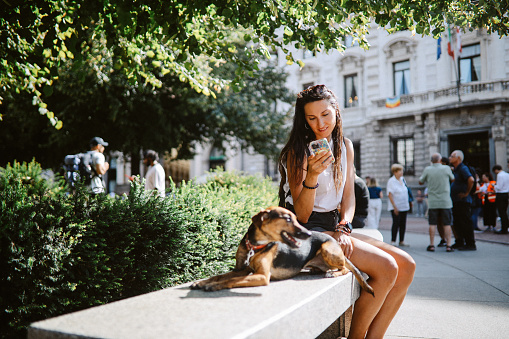 Woman enjoying the sunny day in Milan, relaxing in the city center, checking mobile apps with her mixed breed pet dog companion.