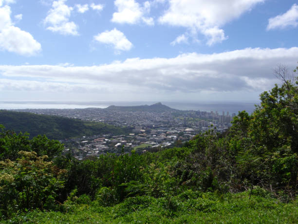 istock Panoramic View of Honolulu, Hawaii 1978869330