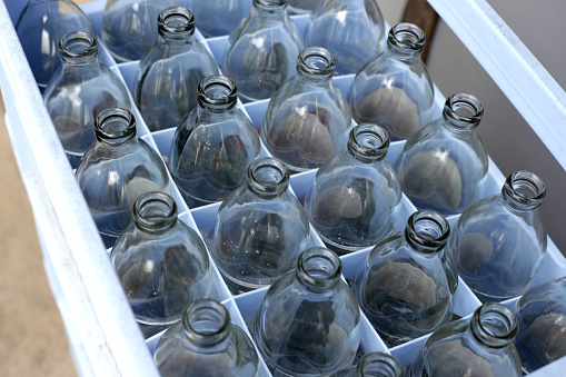 Glass bottles in plastic crate.