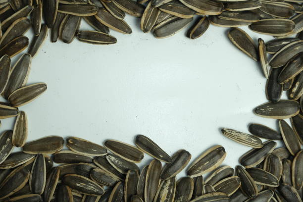 Sunflower Seed Shells