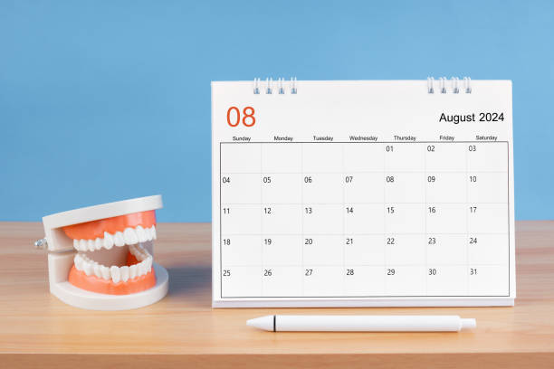 istock August monthly desk calendar for 2024 year and model dentures on the table. 1978929570