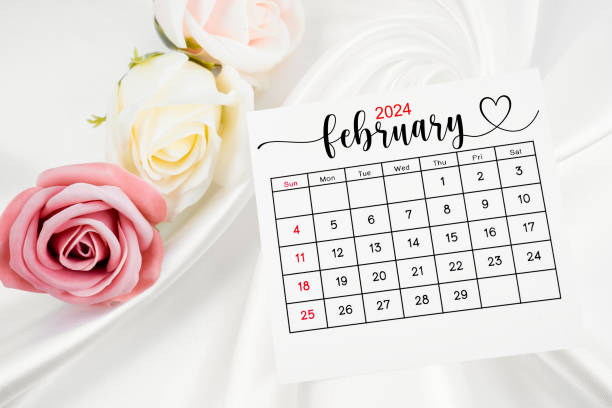 istock February 2024 calendar page and rose flower on white satin textile. 1978929578