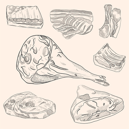 Meat and Sausage Hand Drawn Doodle Vector Illustrations Set. Jamon Leg, Bacon and Salami Sketch Style Drawings Collection. Isolated,