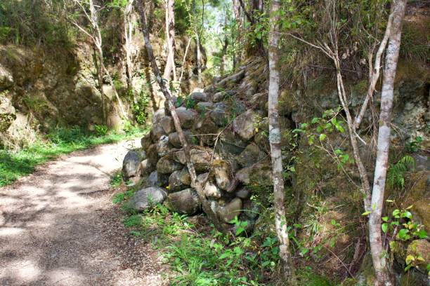 istock Historical Remnant of a Gold Mining Past on Footpath 1979159802