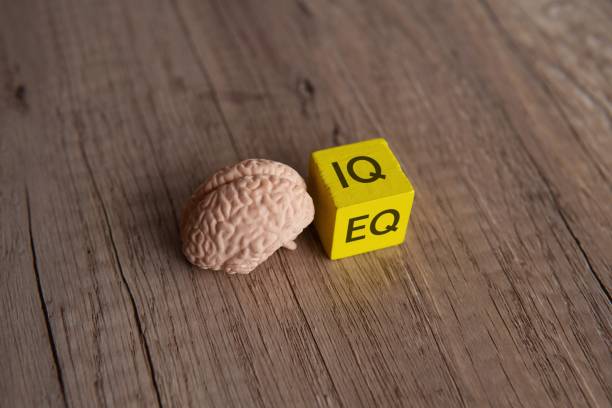 istock Human brain and wooden cube with word IQ and EQ. 1979182151