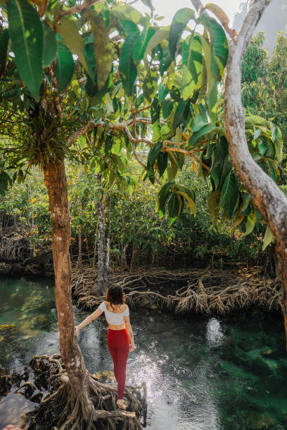 mujer disfruta de la serenidad del bosque en thapom klong song nam - tropical rainforest thailand root waterfall fotografías e imágenes de stock