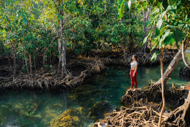 mujer disfruta de la serenidad del bosque en thapom klong song nam - tropical rainforest thailand root waterfall fotografías e imágenes de stock