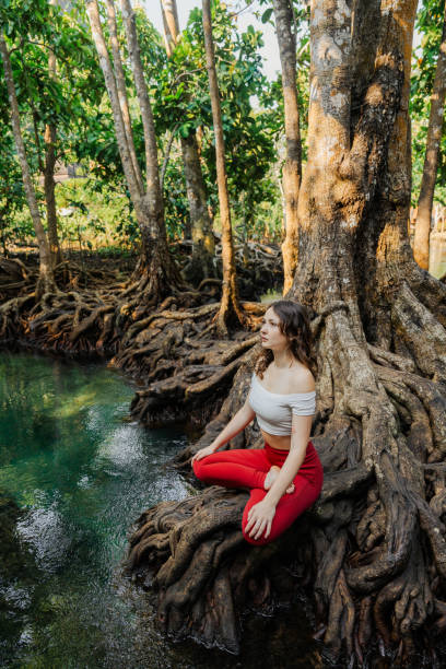 istock Serene woman doing yoga in mangrove forest 1979236336