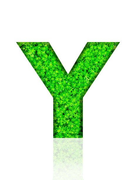 白い背景に 3 次元緑の葉のアルファベット文字 y の分離ショット - letter y alphabet three dimensional shape green ストックフォトと画像