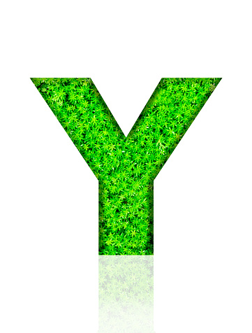 Close-up of three-dimensional green leaf alphabet letter Y on white background.