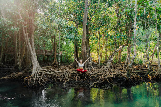 istock Serene woman doing yoga in mangrove forest 1979262720