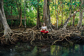 Serene woman doing yoga in mangrove forest
