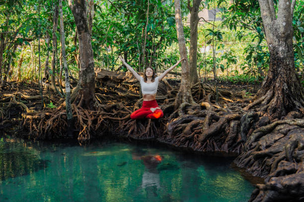 istock Serene woman doing yoga in mangrove forest 1979267370