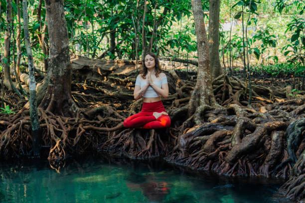 istock Serene woman doing yoga in mangrove forest 1979267883