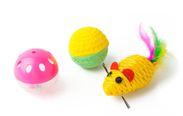 Cat toys isolated on white background studio shot close up