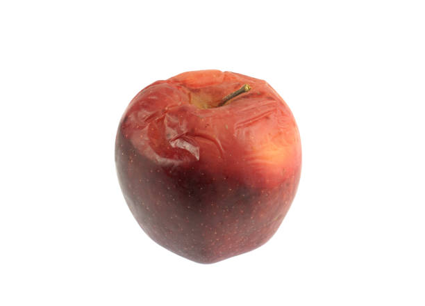 dry and rotten apple isolated on white background