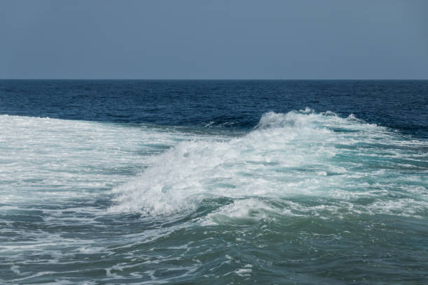 istock high waves with white foam at the red sea 1979296273