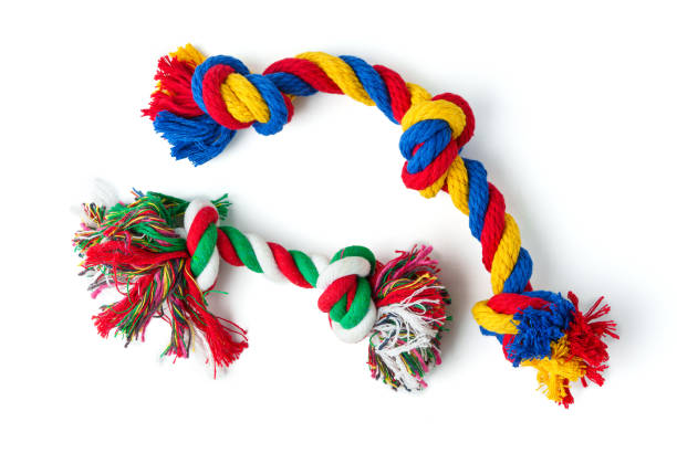 istock Dog pet toy isolated on white background 1979300912