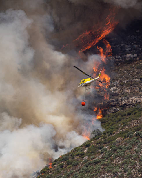 istock Helicopters and Firefighters fight the fire on table mountain 1979311837