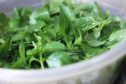 saw soaking basil leaves at the market, the seller said the aim was to make them fresher, every day the basil is put into a fairly large container and drained before selling