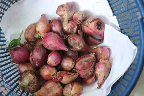Fresh shallots displayed on the shelf, with some already sprouting green leaves.