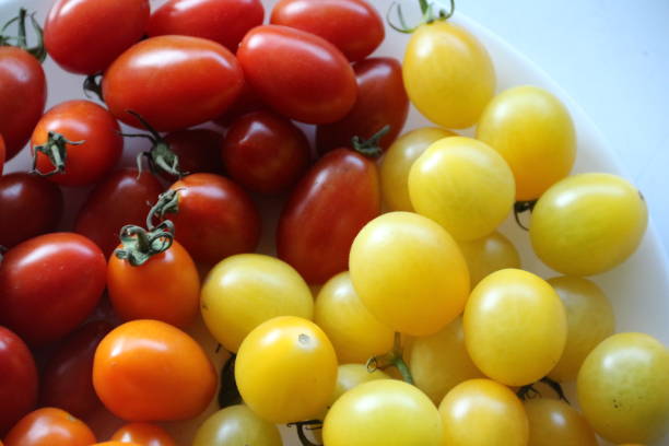 istock Sweet and delicious red cherry tomatoes 1979362089