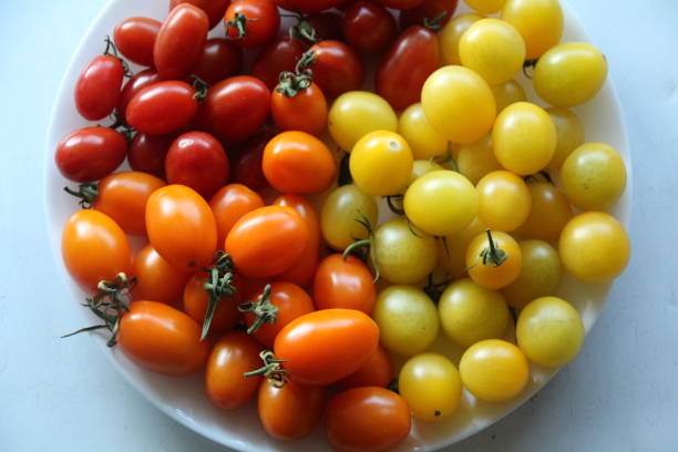 istock Sweet and delicious red cherry tomatoes 1979362102