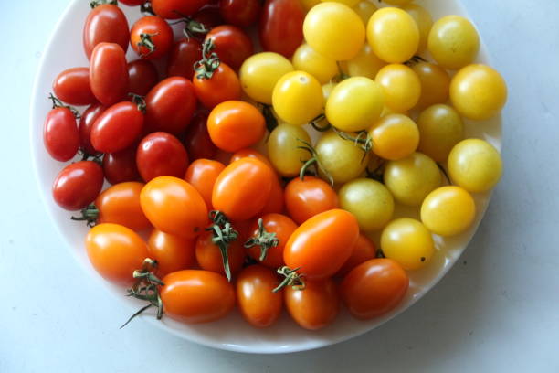 istock Sweet and delicious red cherry tomatoes 1979362124