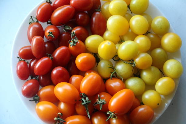 istock Sweet and delicious red cherry tomatoes 1979362263