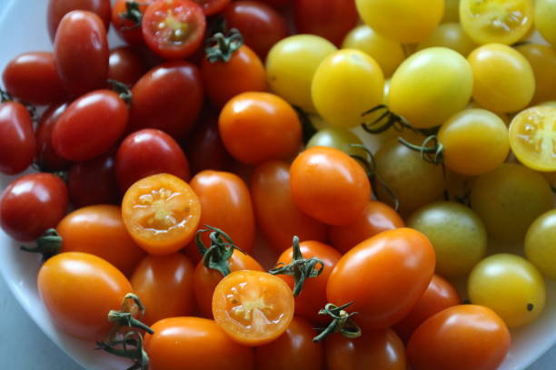 istock Sweet and delicious red cherry tomatoes 1979365304