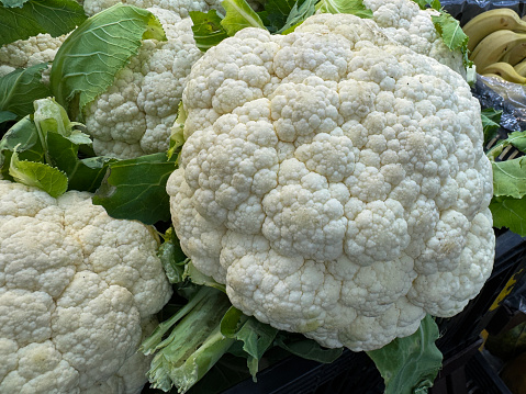 Stock photo showing close-up view of heads of cauliflower (Brassica oleracea var. botrytis) in a pile being sold in a fruit and vegetable aisle of a supermarket.