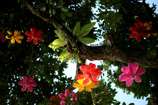 Multi-coloured decorations display at trees for Chinese New Year celebration