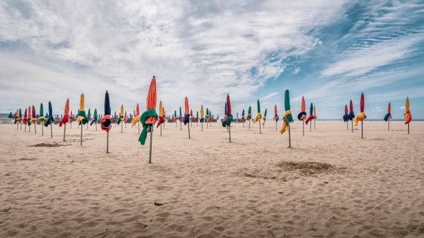 istock Open field with vibrant flags on the sides 1979429958