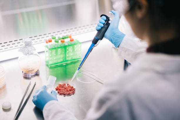 istock Scientist working with pipette and cultured meat in laboratory 1979439555