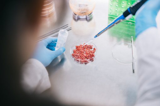 A scientist is using a pipette to carefully transfer liquids onto cultured meat cells on a lab dish, showcasing the hands-on process in a modern laboratory