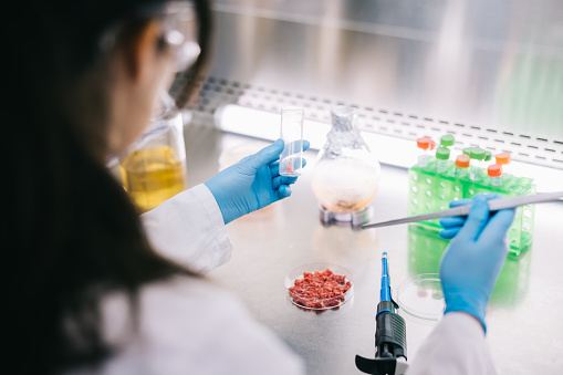 A scientist is using a pipette to carefully transfer liquids onto cultured meat cells on a lab dish, showcasing the hands-on process in a modern laboratory