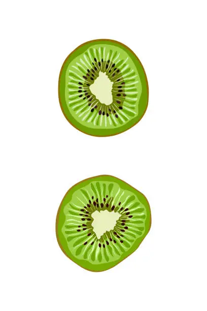 Vector illustration of Kiwi fruit or chinese gooseberry. Half cross section flat color vector icon.