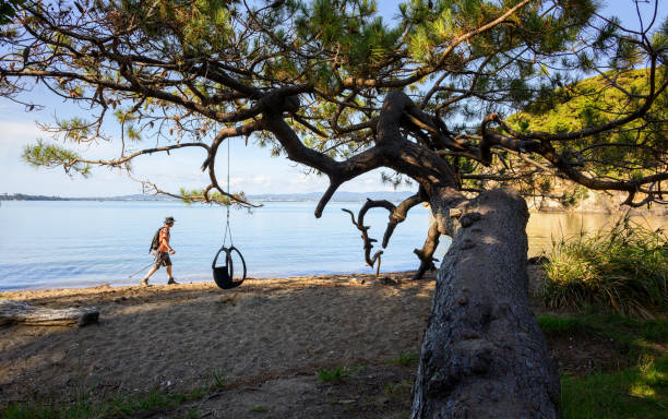 Swing set up on a tree at Sanur beach.Denpasar - Bali Island.