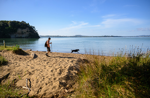 Man and dog walking at Kendall Bay in summer, Kauri Point Centennial Loop track. Auckland.