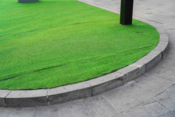 istock Artificial grass or lawn turf. Concrete walkway in the park. 1979480264