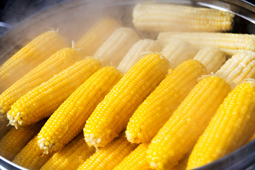 A lot of corn in the steamer