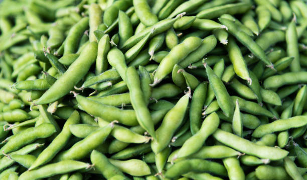haufen frischer sojabohnen mit schote - soybean bean edamame pod stock-fotos und bilder
