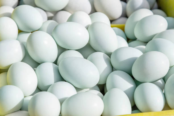 Closeup of a pile of eggs