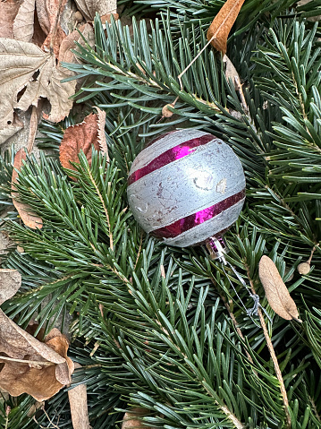 Glass christmas ornament on a pine tree branch