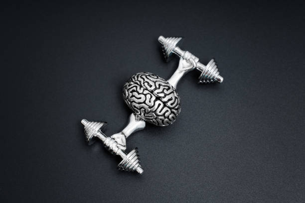 istock Steel Human Brain Model Exercising with Dumbbells 1979511534
