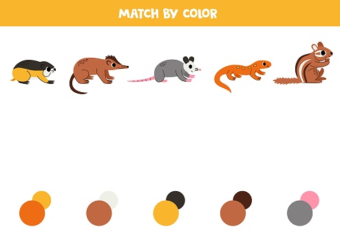 Match cartoon North American animals and colors. Educational game for color recognition.