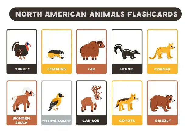 Vector illustration of Cute North American animals with names. Flashcards for learning English.