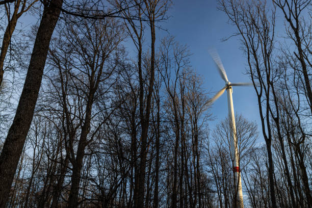 a modern wind turbine spinning behind forest trees